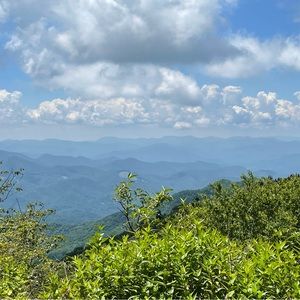 Meet your Posher, Ariel